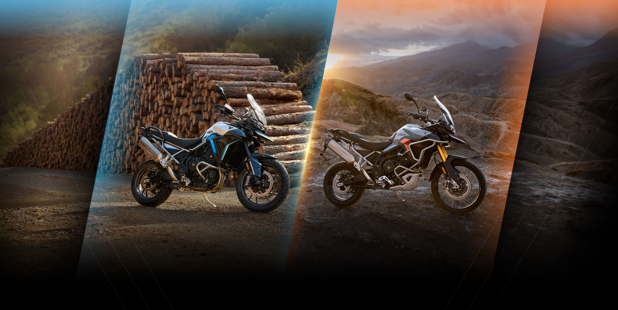 TIGER 900 SPECIAL EDITIONS