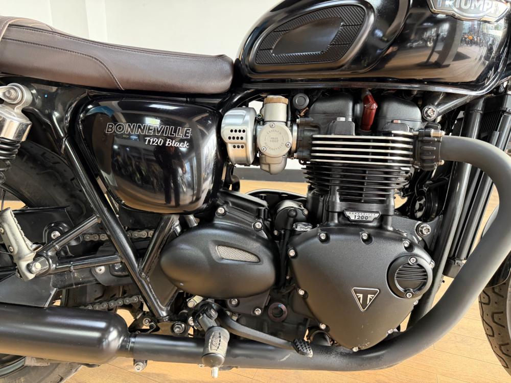 TRIUMPH