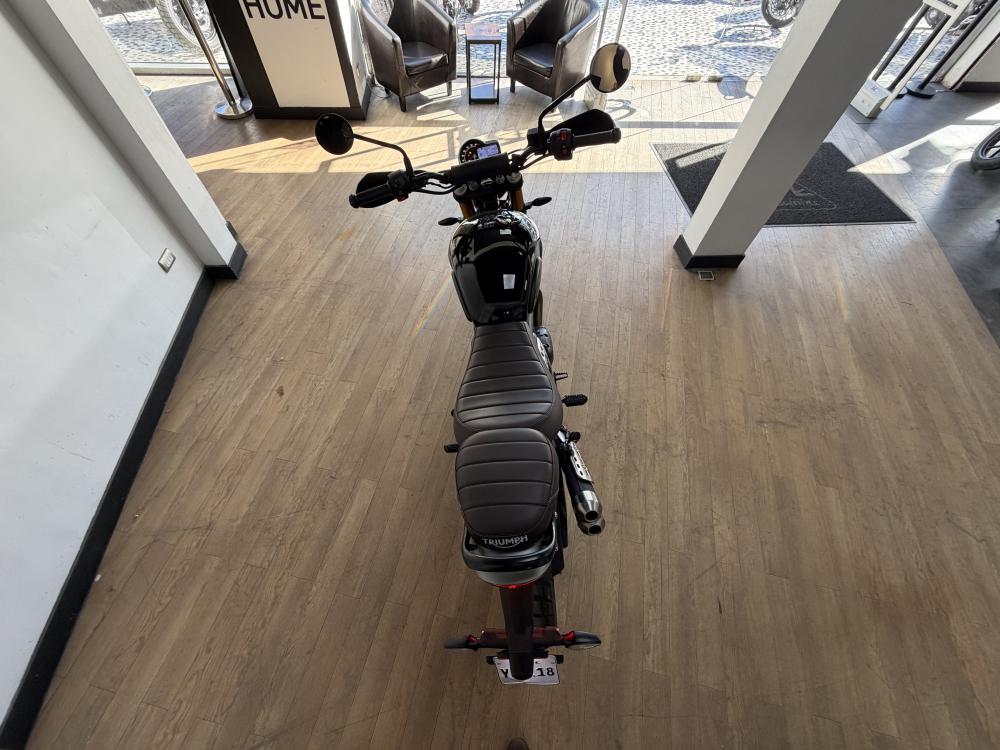 TRIUMPH