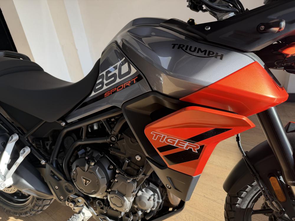 TRIUMPH