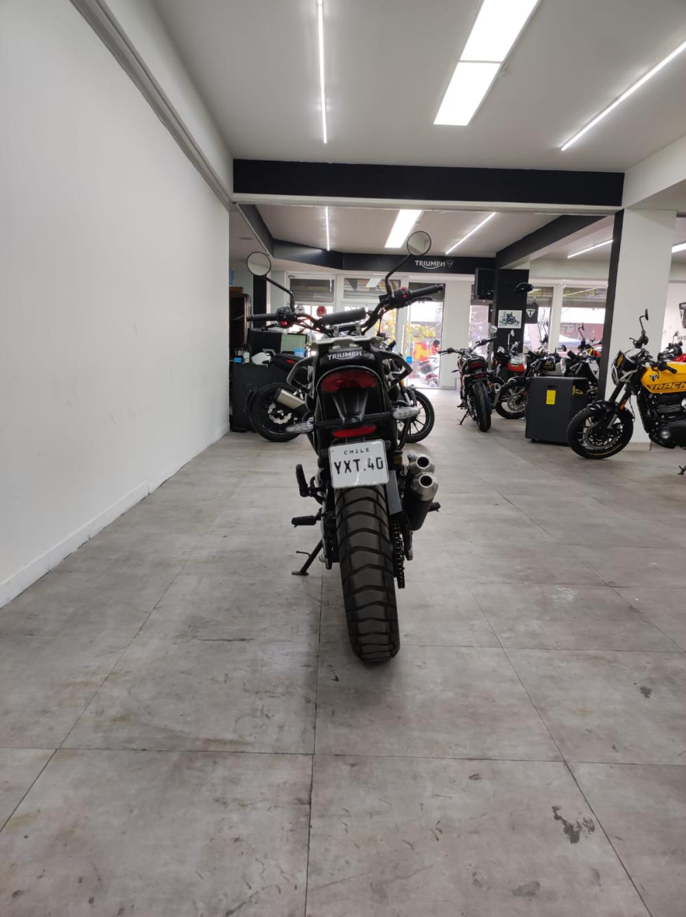 TRIUMPH
