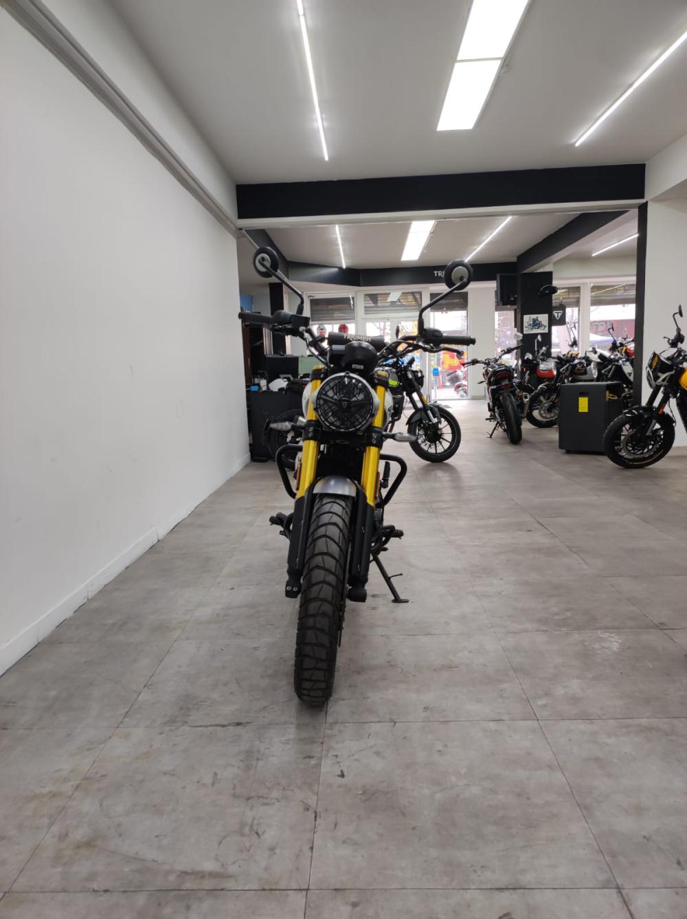 TRIUMPH