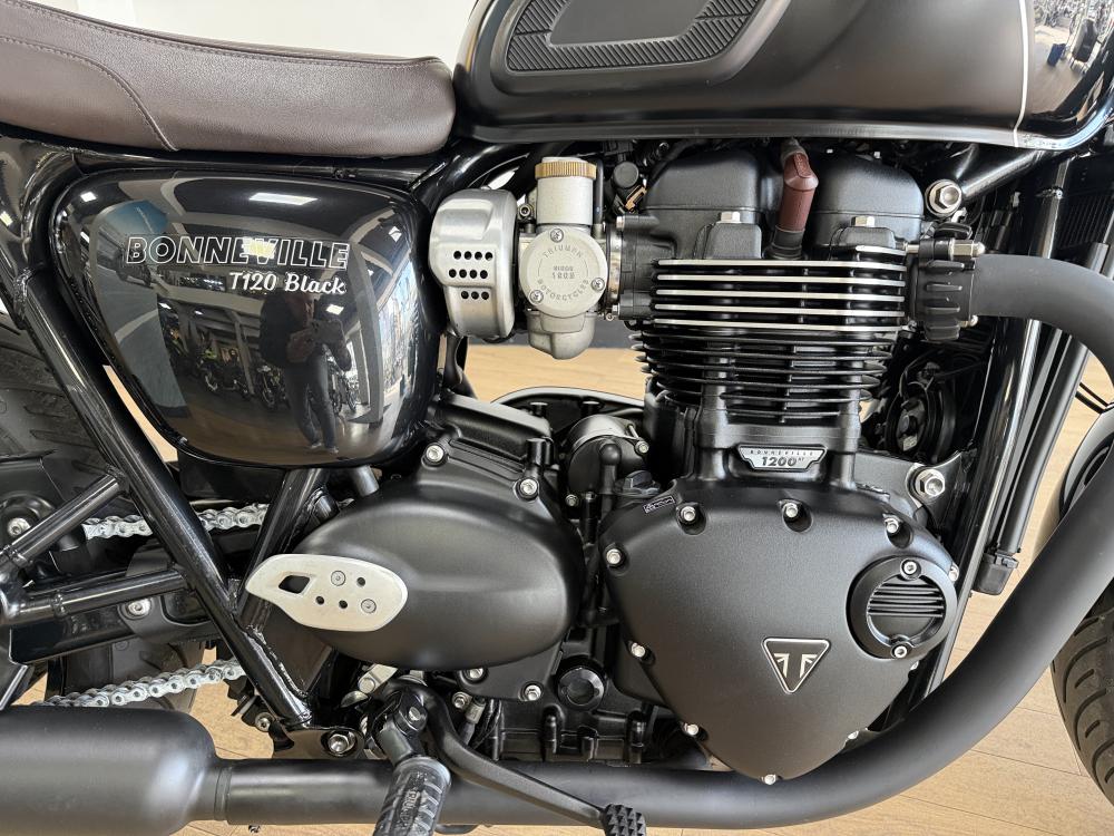 TRIUMPH